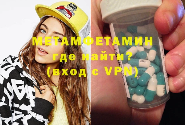 индика Новодвинск