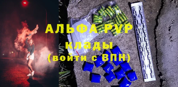 индика Новодвинск