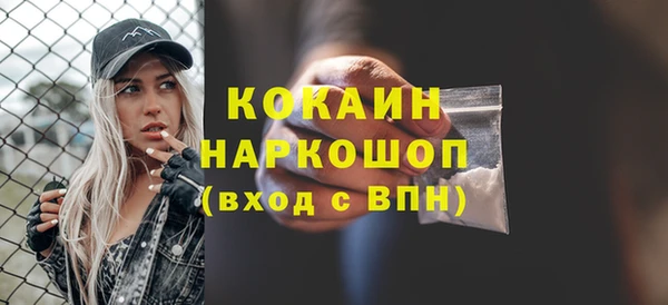 индика Новодвинск