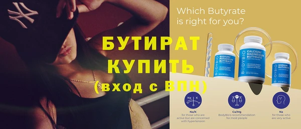 индика Новодвинск