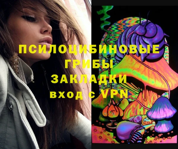 не бодяженный Новозыбков