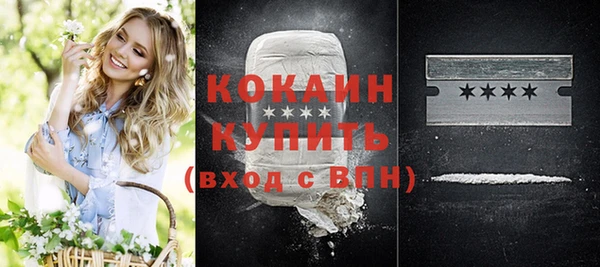 индика Новодвинск