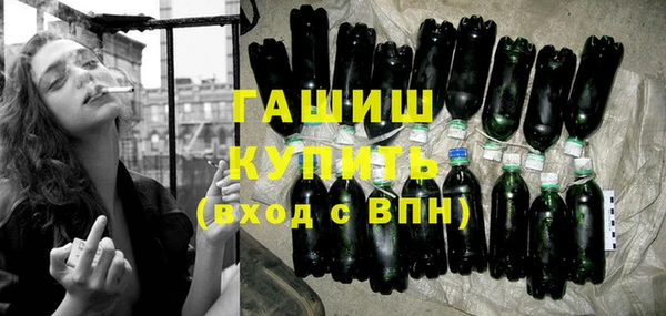 индика Новодвинск