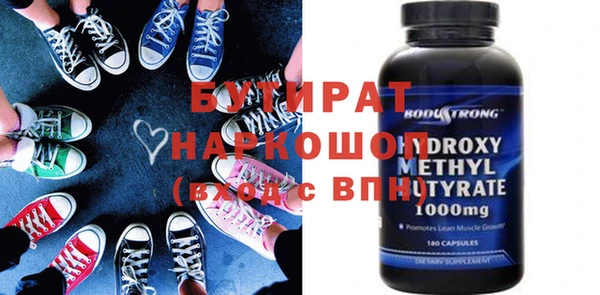 индика Новодвинск