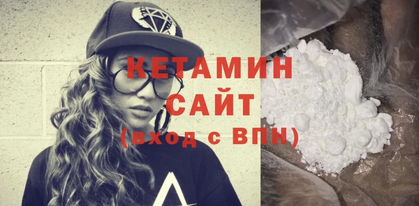 индика Новодвинск
