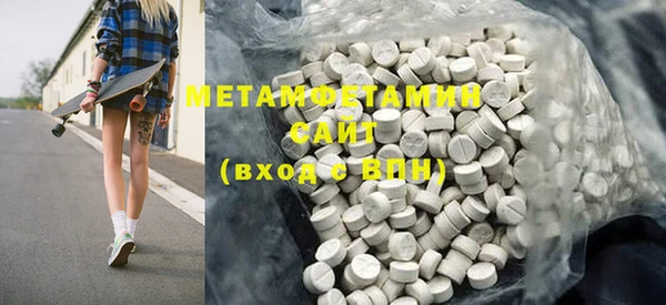 индика Новодвинск