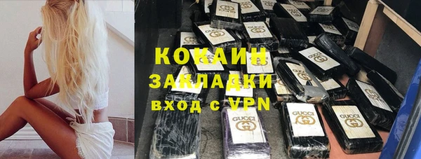 индика Новодвинск
