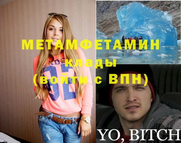 индика Новодвинск