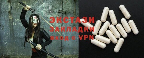 индика Новодвинск
