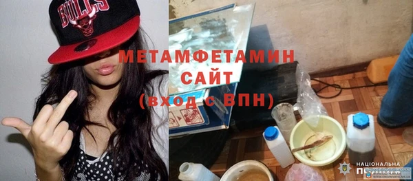 индика Новодвинск