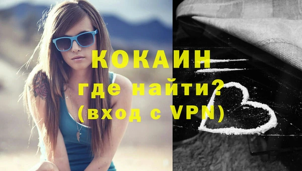 индика Новодвинск