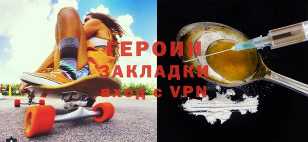 индика Новодвинск