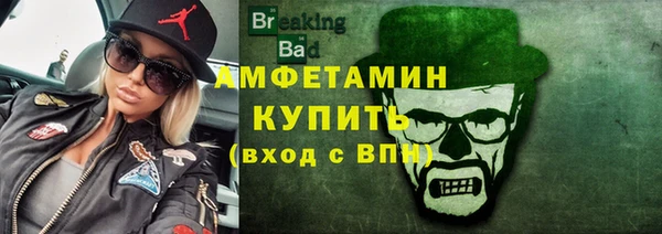 индика Новодвинск