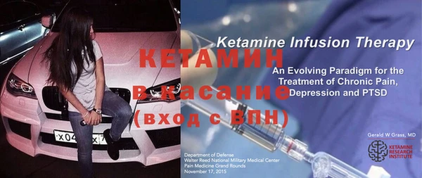 индика Новодвинск