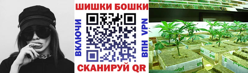 Каннабис SATIVA & INDICA  ОМГ ОМГ маркетплейс  Тихорецк 